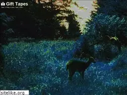 Sites similar to gifttapes.com