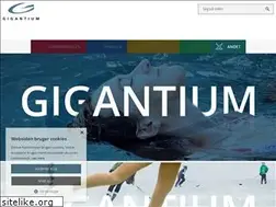 Sites similar to gigantium.dk
