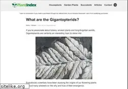 Sites similar to gigantopteroid.org