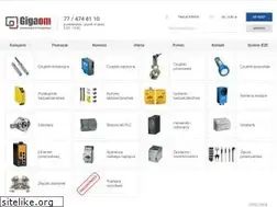 Sites similar to gigaom.pl