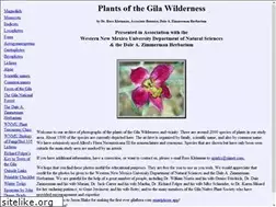 Sites similar to gilaflora.com