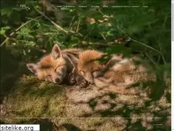 Sites similar to gilbertfortune.com