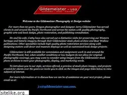 Sites similar to gildemeister-usa.com