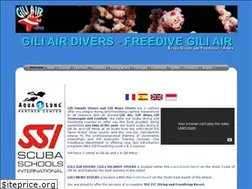 Sites similar to giliairdivers.com