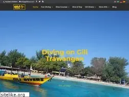 Sites similar to gilidivers.com
