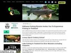 Sites similar to gillhamsfishingresorts.com