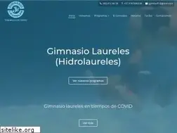 Sites similar to gimnasiolaureles.com