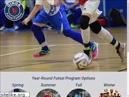 Sites similar to gingafutsal.net