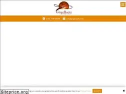 Sites similar to gingerootz.com