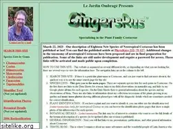 Sites similar to gingersrus.com