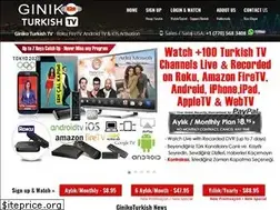 Sites similar to ginikoturkish.com