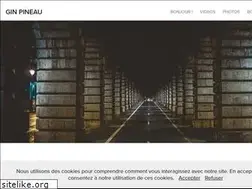 Sites similar to ginpineau.com