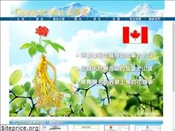 Sites similar to ginsenghill.com