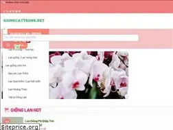 Sites similar to giongcaytrong.net