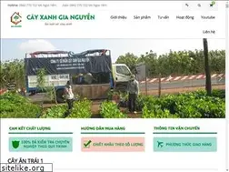 Sites similar to giongcaytrongmiennam.com