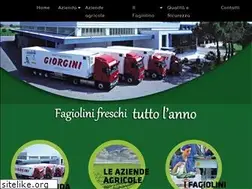 Sites similar to giorgini.com