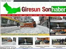 Sites similar to giresunsonhaber.com