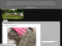 Sites similar to girl-camping.blogspot.com