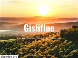 Sites similar to gisliflue.ch