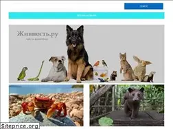 Sites similar to givnost.ru