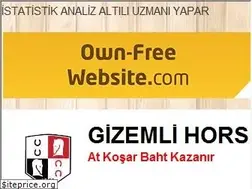 Sites similar to gizemlihorse.tr.gg