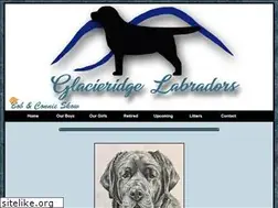 Sites similar to glacieridgelabs.com