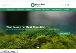 Sites similar to glassboxtropicals.com