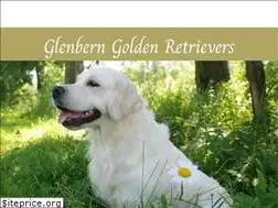 Sites similar to glenbern.com
