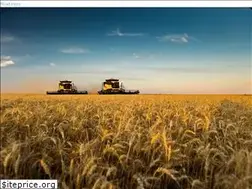 Sites similar to glencoreagro.ru
