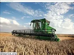 Sites similar to glencorepolska.pl