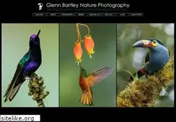 Sites similar to glennbartley.com