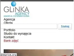 Sites similar to glinka-agency.com