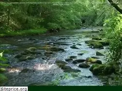 Sites similar to globaltree.com.br