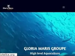 Sites similar to gloriamaris.com