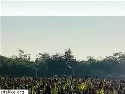 Sites similar to gmstour.com.tw