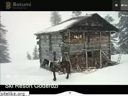 Sites similar to gobatumi.com