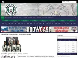 Sites similar to gobrookingsblizzard.com
