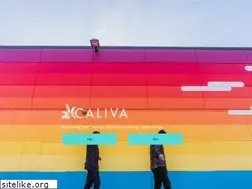 Sites similar to gocaliva.com