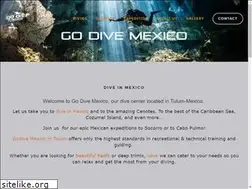 Sites similar to godivemexico.com