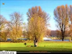 Sites similar to goggi.de