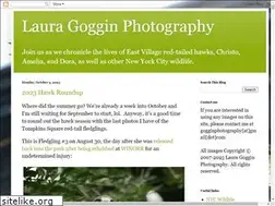 Sites similar to gogginphotography.com
