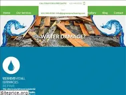Sites similar to gogreenprocleaning.com
