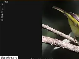 Sites similar to goingwild.in