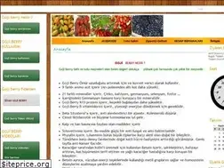Sites similar to gojiberrybahcesi.com