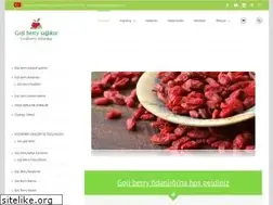 Sites similar to gojiberryfidanligi.com