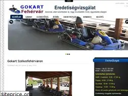 Sites similar to gokartfehervar.hu