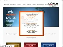 Sites similar to gokce.com