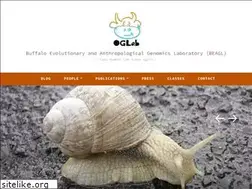 Sites similar to gokcumen.wordpress.com