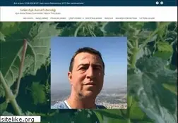 Sites similar to gokerfidan.com