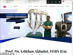 Sites similar to gokhanakbulut.com